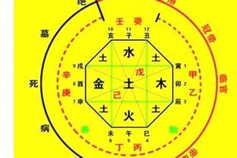 喜用火|八字喜火是什么意思